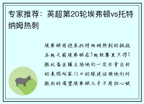 专家推荐：英超第20轮埃弗顿vs托特纳姆热刺